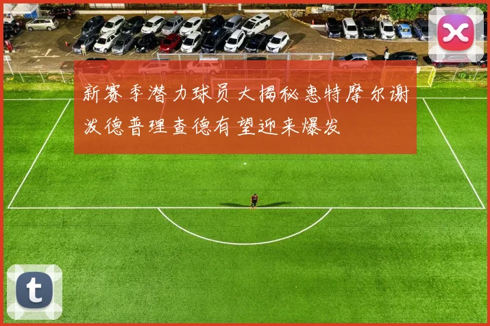新赛季潜力球员大揭秘惠特摩尔谢泼德普理查德有望迎来爆发