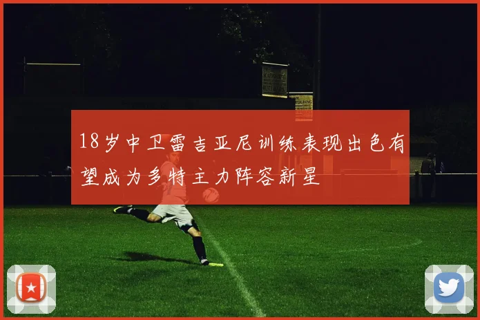 18岁中卫雷吉亚尼训练表现出色有望成为多特主力阵容新星